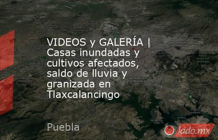 VIDEOS y GALERÍA | Casas inundadas y cultivos afectados, saldo de lluvia y granizada en Tlaxcalancingo. Noticias en tiempo real