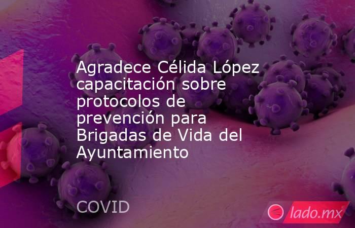 Agradece Célida López capacitación sobre protocolos de prevención para Brigadas de Vida del Ayuntamiento. Noticias en tiempo real