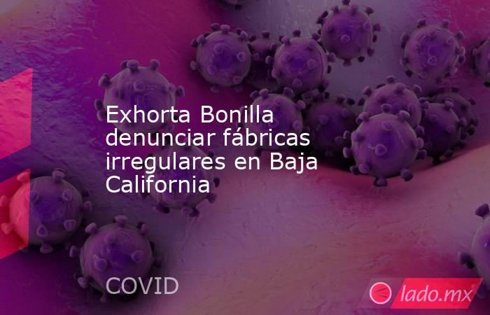 Exhorta Bonilla denunciar fábricas irregulares en Baja California. Noticias en tiempo real