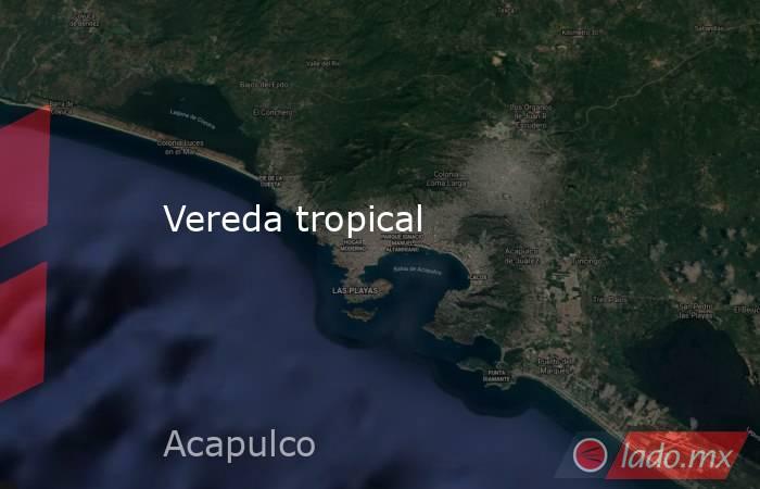 Vereda tropical. Noticias en tiempo real