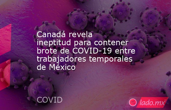 Canadá revela ineptitud para contener brote de COVID-19 entre trabajadores temporales de México. Noticias en tiempo real