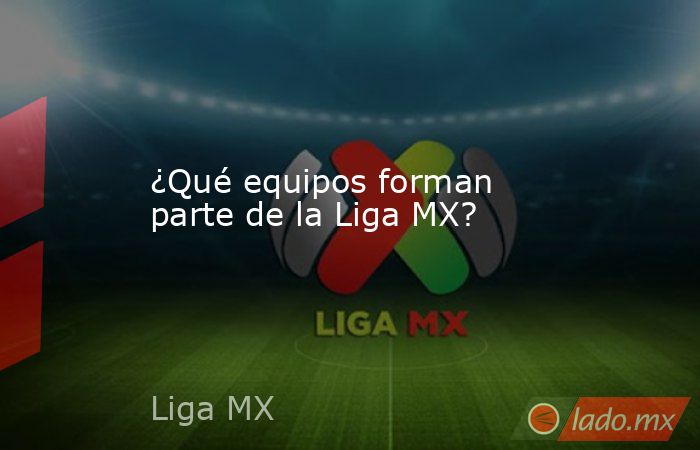 ¿Qué equipos forman parte de la Liga MX?. Noticias en tiempo real
