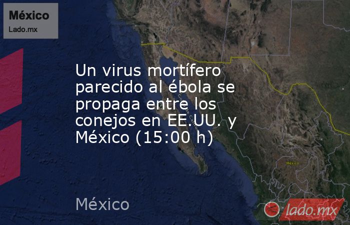 Un virus mortífero parecido al ébola se propaga entre los conejos en EE.UU. y México (15:00 h). Noticias en tiempo real