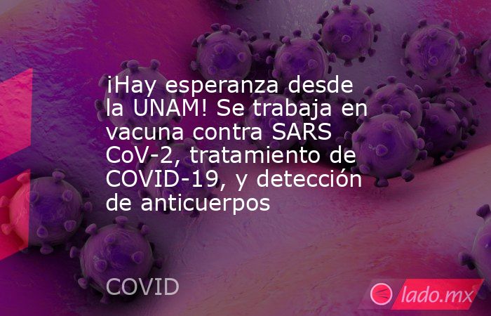 ¡Hay esperanza desde la UNAM! Se trabaja en vacuna contra SARS CoV-2, tratamiento de COVID-19, y detección de anticuerpos. Noticias en tiempo real