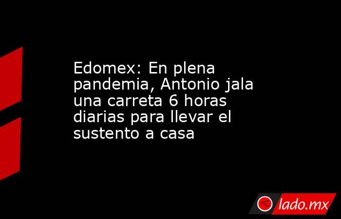 Edomex: En plena pandemia, Antonio jala una carreta 6 horas diarias para llevar el sustento a casa. Noticias en tiempo real