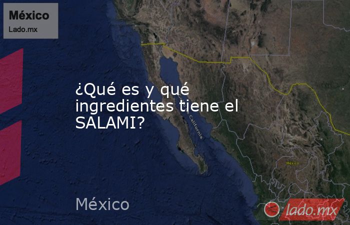 ¿Qué es y qué ingredientes tiene el SALAMI?. Noticias en tiempo real