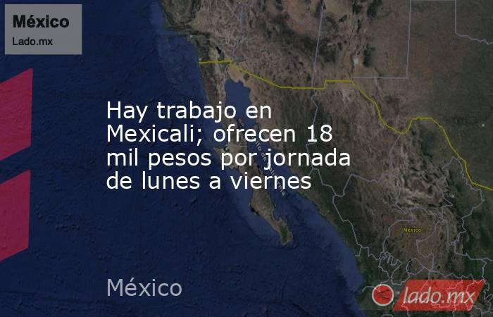 Hay trabajo en Mexicali; ofrecen 18 mil pesos por jornada de lunes a viernes. Noticias en tiempo real