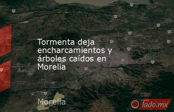 Tormenta deja encharcamientos y árboles caídos en Morelia. Noticias en tiempo real