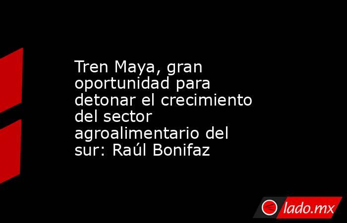 Tren Maya, gran oportunidad para detonar el crecimiento del sector agroalimentario del sur: Raúl Bonifaz. Noticias en tiempo real