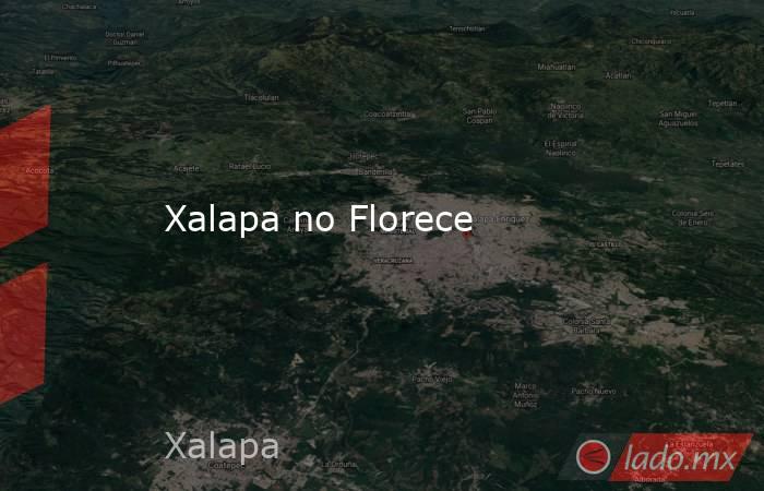 Xalapa no Florece. Noticias en tiempo real