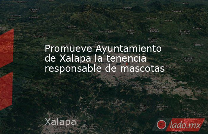 Promueve Ayuntamiento de Xalapa la tenencia responsable de mascotas. Noticias en tiempo real