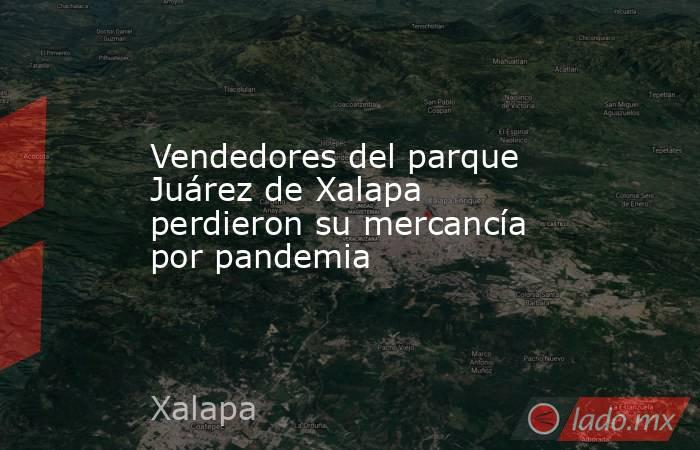 Vendedores del parque Juárez de Xalapa perdieron su mercancía por pandemia. Noticias en tiempo real