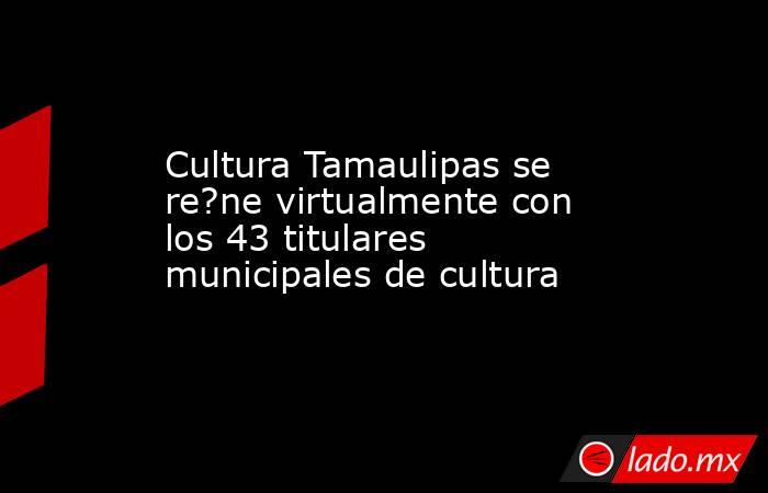 Cultura Tamaulipas se re?ne virtualmente con los 43 titulares municipales de cultura. Noticias en tiempo real