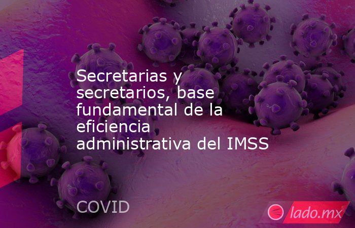 Secretarias y secretarios, base fundamental de la  eficiencia administrativa del IMSS. Noticias en tiempo real