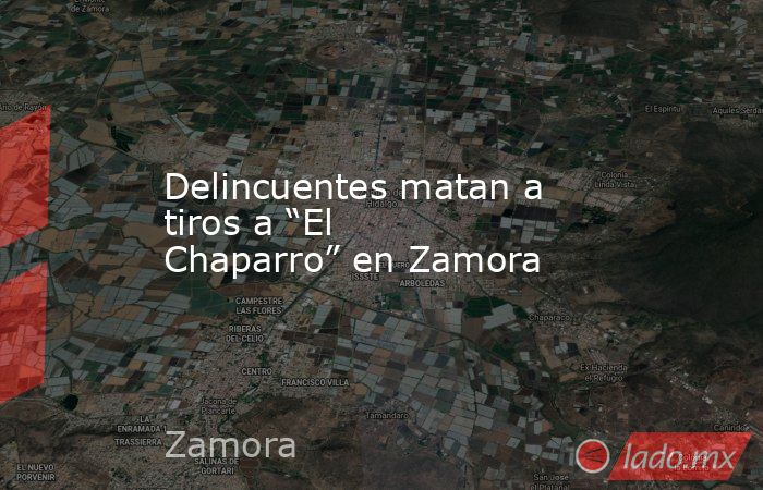 Delincuentes matan a tiros a “El Chaparro” en Zamora. Noticias en tiempo real