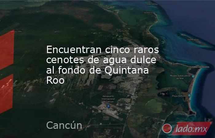 Encuentran cinco raros cenotes de agua dulce al fondo de Quintana Roo. Noticias en tiempo real