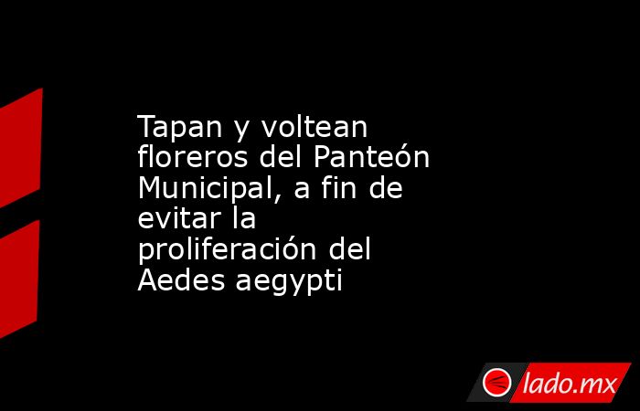 Tapan y voltean floreros del Panteón Municipal, a fin de evitar la proliferación del Aedes aegypti. Noticias en tiempo real