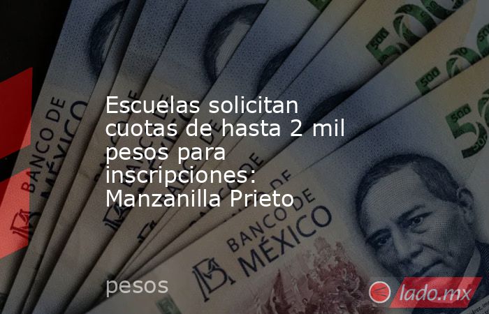 Escuelas solicitan cuotas de hasta 2 mil pesos para inscripciones: Manzanilla Prieto. Noticias en tiempo real