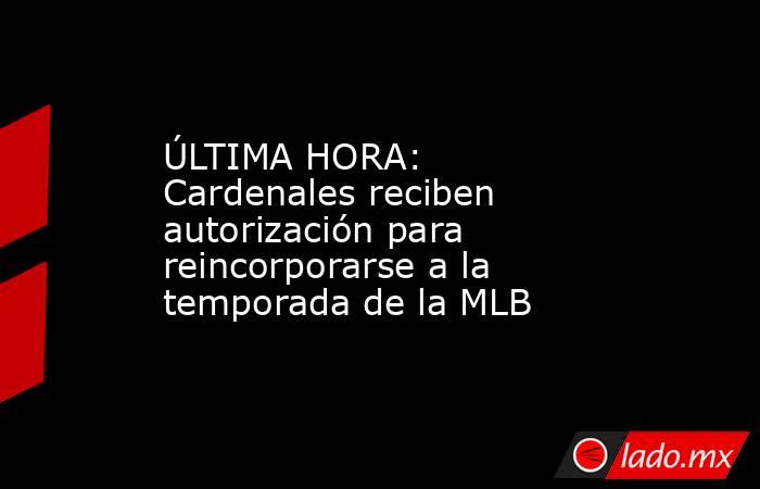 ÚLTIMA HORA: Cardenales reciben autorización para reincorporarse a la temporada de la MLB. Noticias en tiempo real