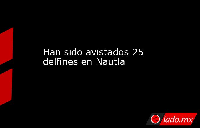 Han sido avistados 25 delfines en Nautla. Noticias en tiempo real