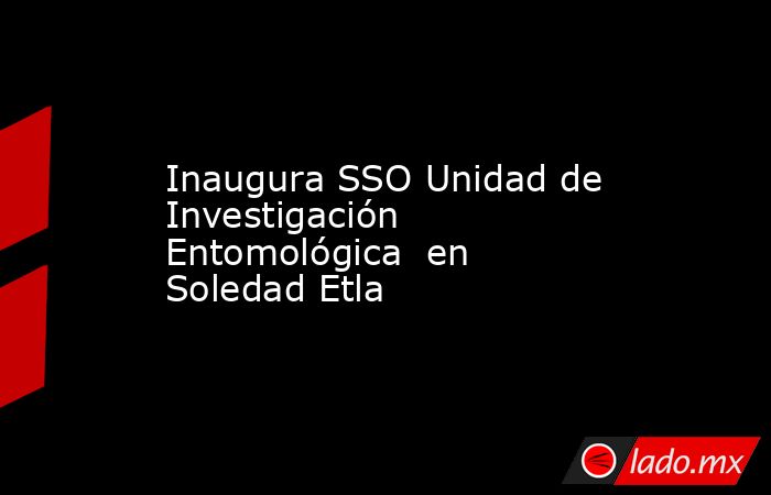 Inaugura SSO Unidad de Investigación Entomológica  en Soledad Etla. Noticias en tiempo real