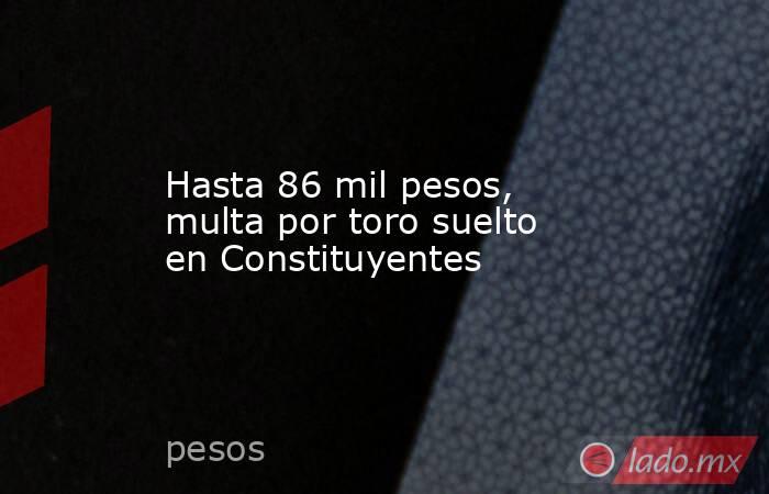 Hasta 86 mil pesos, multa por toro suelto en Constituyentes. Noticias en tiempo real