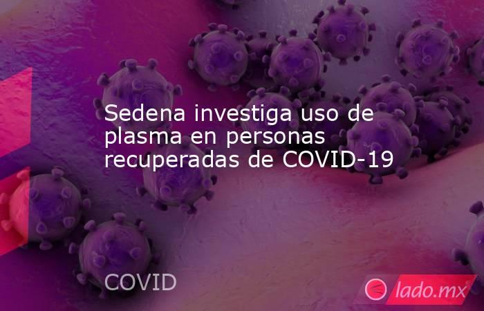 Sedena investiga uso de plasma en personas recuperadas de COVID-19. Noticias en tiempo real