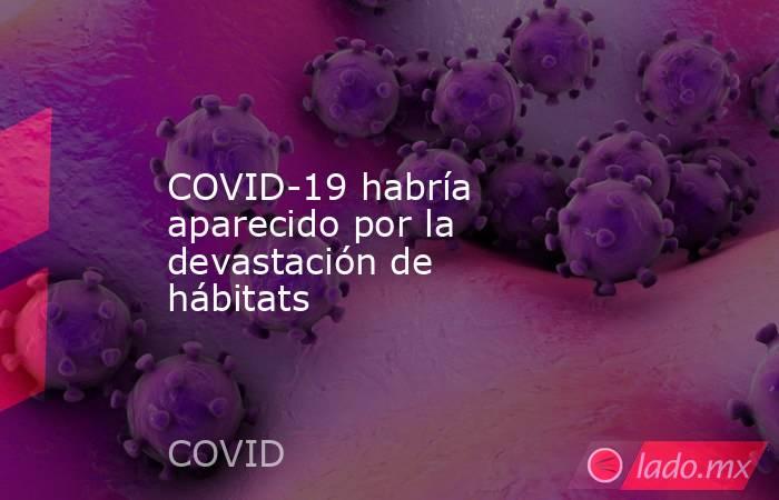 COVID-19 habría aparecido por la devastación de hábitats. Noticias en tiempo real