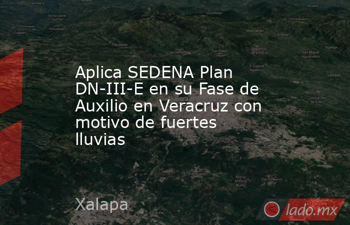Aplica SEDENA Plan DN-III-E en su Fase de Auxilio en Veracruz con motivo de fuertes lluvias. Noticias en tiempo real