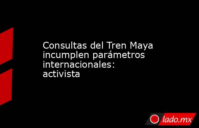 Consultas del Tren Maya incumplen parámetros internacionales: activista. Noticias en tiempo real