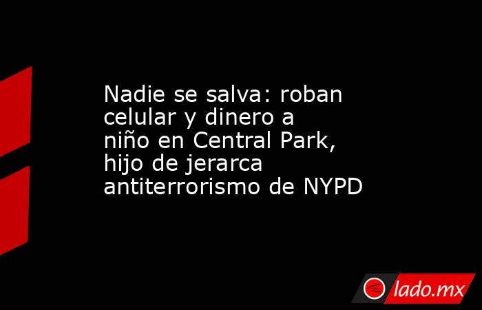 Nadie se salva: roban celular y dinero a niño en Central Park, hijo de jerarca antiterrorismo de NYPD. Noticias en tiempo real