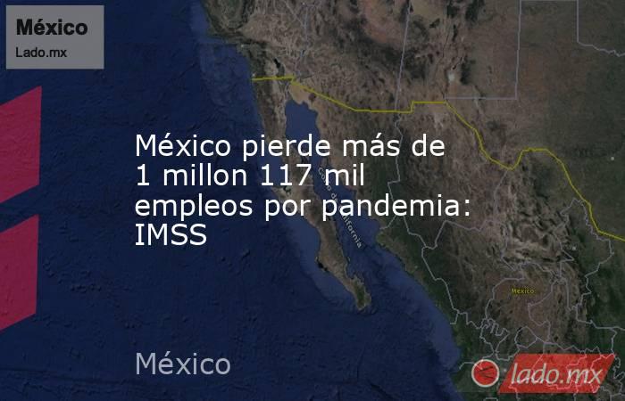 México pierde más de 1 millon 117 mil empleos por pandemia: IMSS. Noticias en tiempo real