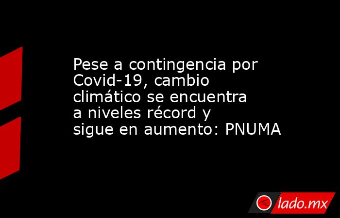 Pese a contingencia por Covid-19, cambio climático se encuentra a niveles récord y sigue en aumento: PNUMA. Noticias en tiempo real