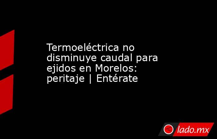 Termoeléctrica no disminuye caudal para ejidos en Morelos: peritaje | Entérate. Noticias en tiempo real