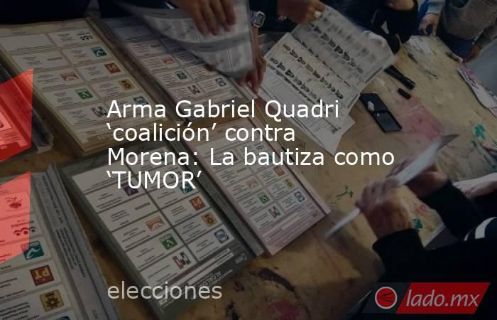 Arma Gabriel Quadri ‘coalición’ contra Morena: La bautiza como ‘TUMOR’. Noticias en tiempo real