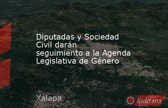 Diputadas y Sociedad Civil darán seguimiento a la Agenda Legislativa de Género. Noticias en tiempo real