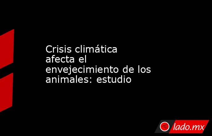 Crisis climática afecta el envejecimiento de los animales: estudio
. Noticias en tiempo real