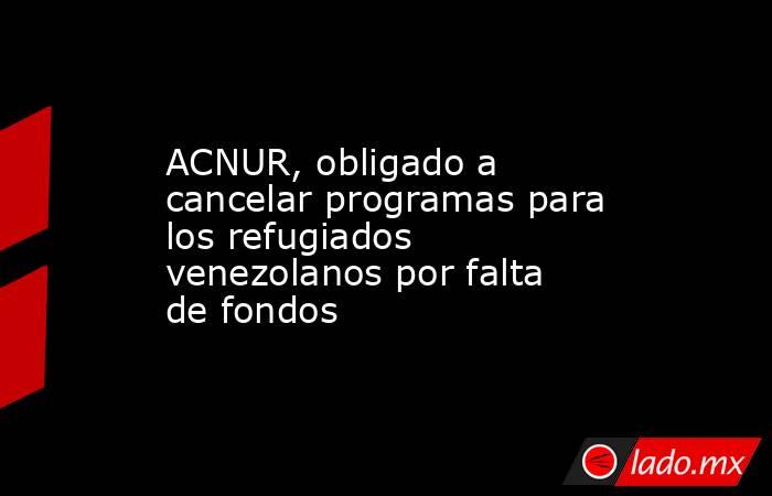 ACNUR, obligado a cancelar programas para los refugiados venezolanos por falta de fondos. Noticias en tiempo real