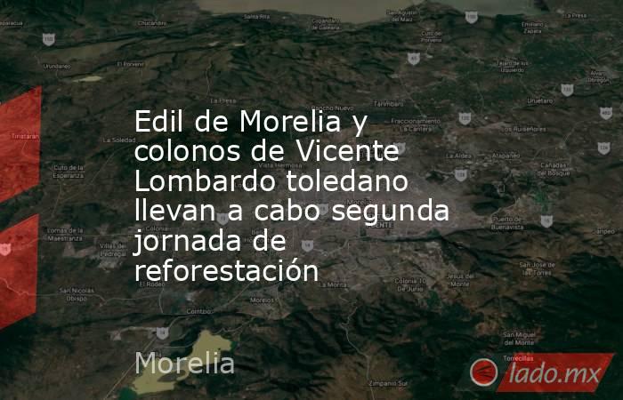 Edil de Morelia y colonos de Vicente Lombardo toledano llevan a cabo segunda jornada de reforestación. Noticias en tiempo real