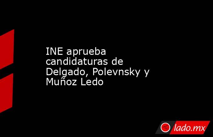 INE aprueba candidaturas de Delgado, Polevnsky y Muñoz Ledo. Noticias en tiempo real