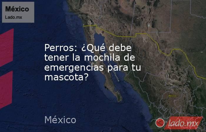 Perros: ¿Qué debe tener la mochila de emergencias para tu mascota?. Noticias en tiempo real