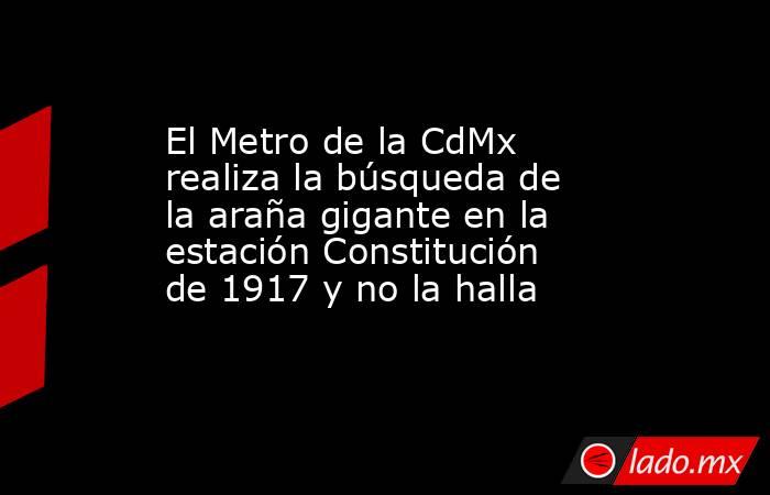 El Metro de la CdMx realiza la búsqueda de la araña gigante en la estación Constitución de 1917 y no la halla. Noticias en tiempo real