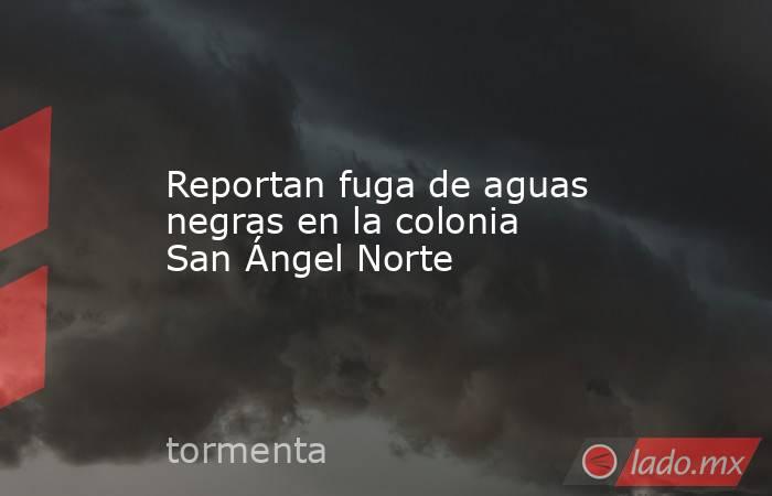 Reportan fuga de aguas negras en la colonia San Ángel Norte
. Noticias en tiempo real