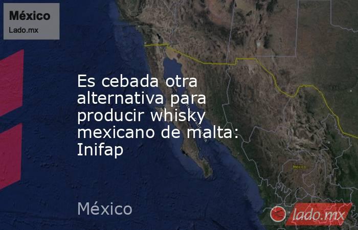 Es cebada otra alternativa para producir whisky mexicano de malta: Inifap. Noticias en tiempo real