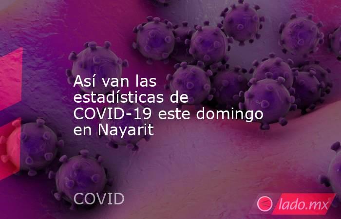 Así van las estadísticas de COVID-19 este domingo en Nayarit. Noticias en tiempo real