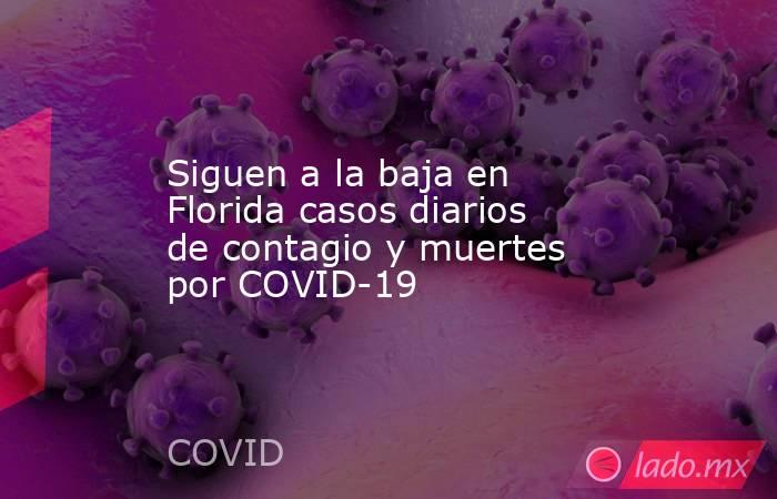 Siguen a la baja en Florida casos diarios de contagio y muertes por COVID-19. Noticias en tiempo real