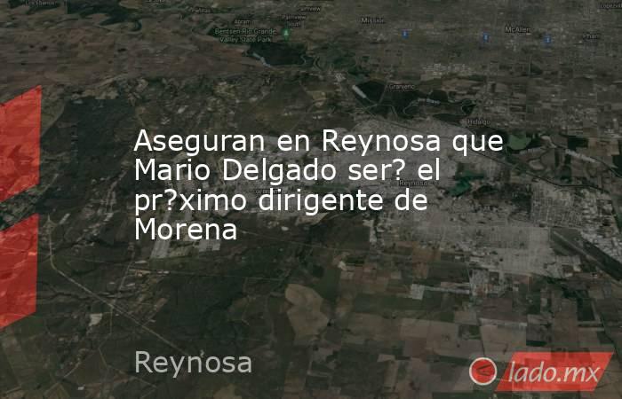 Aseguran en Reynosa que Mario Delgado ser? el pr?ximo dirigente de Morena. Noticias en tiempo real