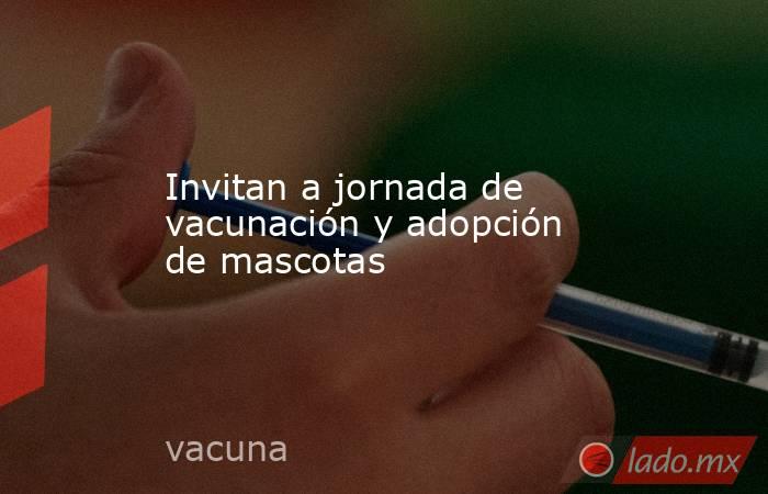 Invitan a jornada de vacunación y adopción de mascotas . Noticias en tiempo real