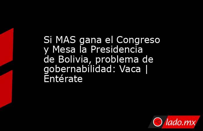 Si MAS gana el Congreso y Mesa la Presidencia de Bolivia, problema de gobernabilidad: Vaca | Entérate. Noticias en tiempo real