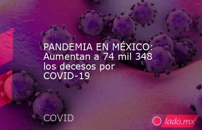 PANDEMIA EN MÉXICO: Aumentan a 74 mil 348 los decesos por COVID-19. Noticias en tiempo real